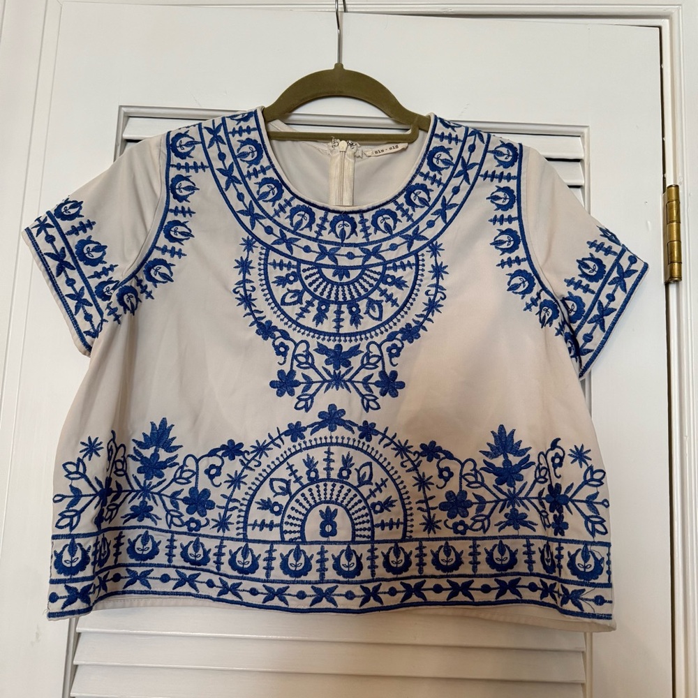 Embroidered Blue and White Women's Top